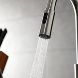 Continental Single-Handle Pull-Down Kitchen Faucet