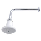 Victorian 5-1/8-Inch Round Raindrop Ceramic Shower Head with 12-Inch Shower Arm Combo