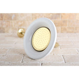 Victorian 6-5/16-Inch Sunflower Raindrop Ceramic Shower Head with 12-Inch Shower Arm
