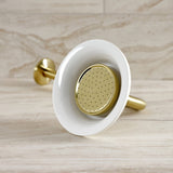 Victorian 6-5/16-Inch Sunflower Raindrop Ceramic Shower Head with 12-Inch Shower Arm