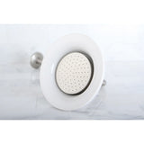 Victorian 6-5/16-Inch Sunflower Raindrop Ceramic Shower Head with 12-Inch Shower Arm