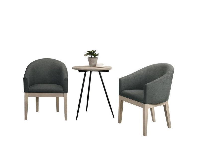 Neroli Gray Fabric Accent Chairs and Side Table Living Room Set