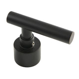 Manhattan Brass Lever Handle