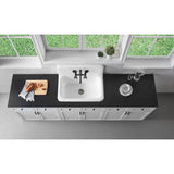 Petra Galley 30-Inch x 20-Inch Cast Iron Wall Mount Kitchen Sink