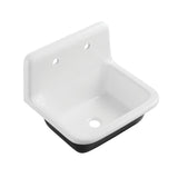 Petra Galley 22-Inch x 18-Inch Cast Iron Wall Mount Utility Sink