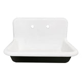 Towne 30-Inch Cast Iron Wall Mount 2-Hole Single Bowl Kitchen Sink
