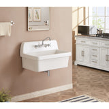 Doriteal 30-Inch Ceramic Wall Mount Utility Sink