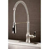 Kaiser Single-Handle 1-or-3 Hole Deck Mount Pre-Rinse Kitchen Faucet
