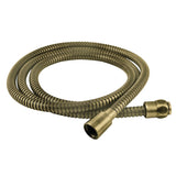 Complement 72-Inch Stainless Steel Shower Hose