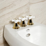 Victorian Three-Handle Vertical Spray Bidet Faucet with Brass Pop-Up