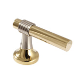 Metal Lever Handle