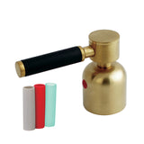 Kaiser Metal Lever Handle (Hot Side)