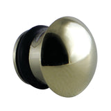 Spout Insert