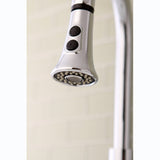 Made To Match 2-Function Pull-Down Kitchen Faucet Sprayer