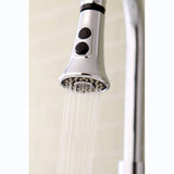 Made To Match 2-Function Pull-Down Kitchen Faucet Sprayer