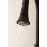 Made To Match 2-Function Pull-Down Kitchen Faucet Sprayer