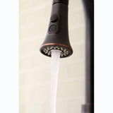Made To Match 2-Function Pull-Down Kitchen Faucet Sprayer