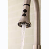 Made To Match 2-Function Pull-Down Kitchen Faucet Sprayer