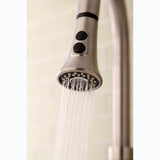 Made To Match 2-Function Pull-Down Kitchen Faucet Sprayer