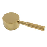Concord Metal Lever Handle