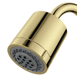 Vilbosch 3-3/16 Inch Round 2-Function ABS Shower Head