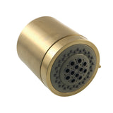 Vilbosch 3-3/16 Inch Round 2-Function ABS Shower Head