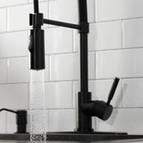 Kaiser Single-Handle 1-Hole Deck Mount Pre-Rinse Kitchen Faucet
