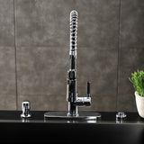 Kaiser Single-Handle 1-Hole Deck Mount Pre-Rinse Kitchen Faucet