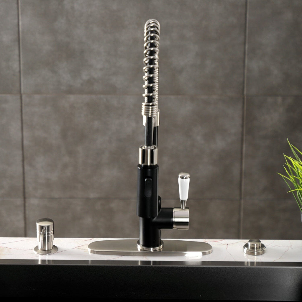 Paris Single-Handle 1-Hole Deck Mount Pre-Rinse Kitchen Faucet