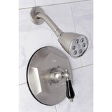 Duchess Single-Handle 2-Hole Wall Mount Shower Faucet